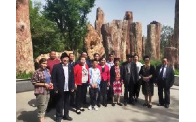 获评“全国最美家庭”的22户新疆家庭走进J9九游集团集